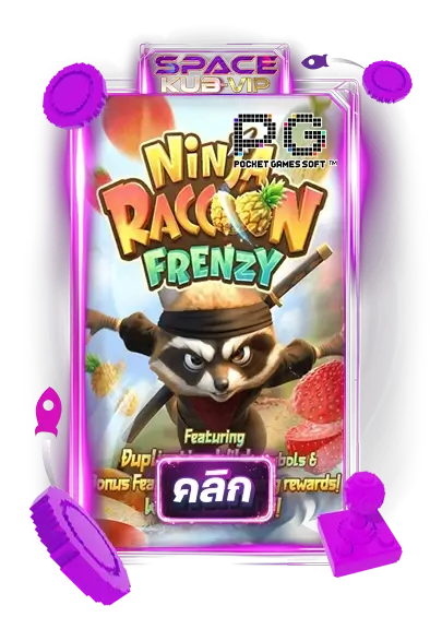 ninja raccoon frenzy
