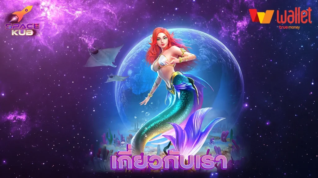 เกี่ยวกับเรา